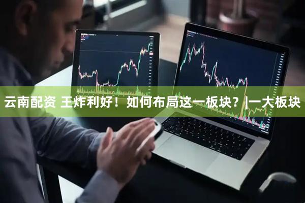 云南配资 王炸利好！如何布局这一板块？|一大板块